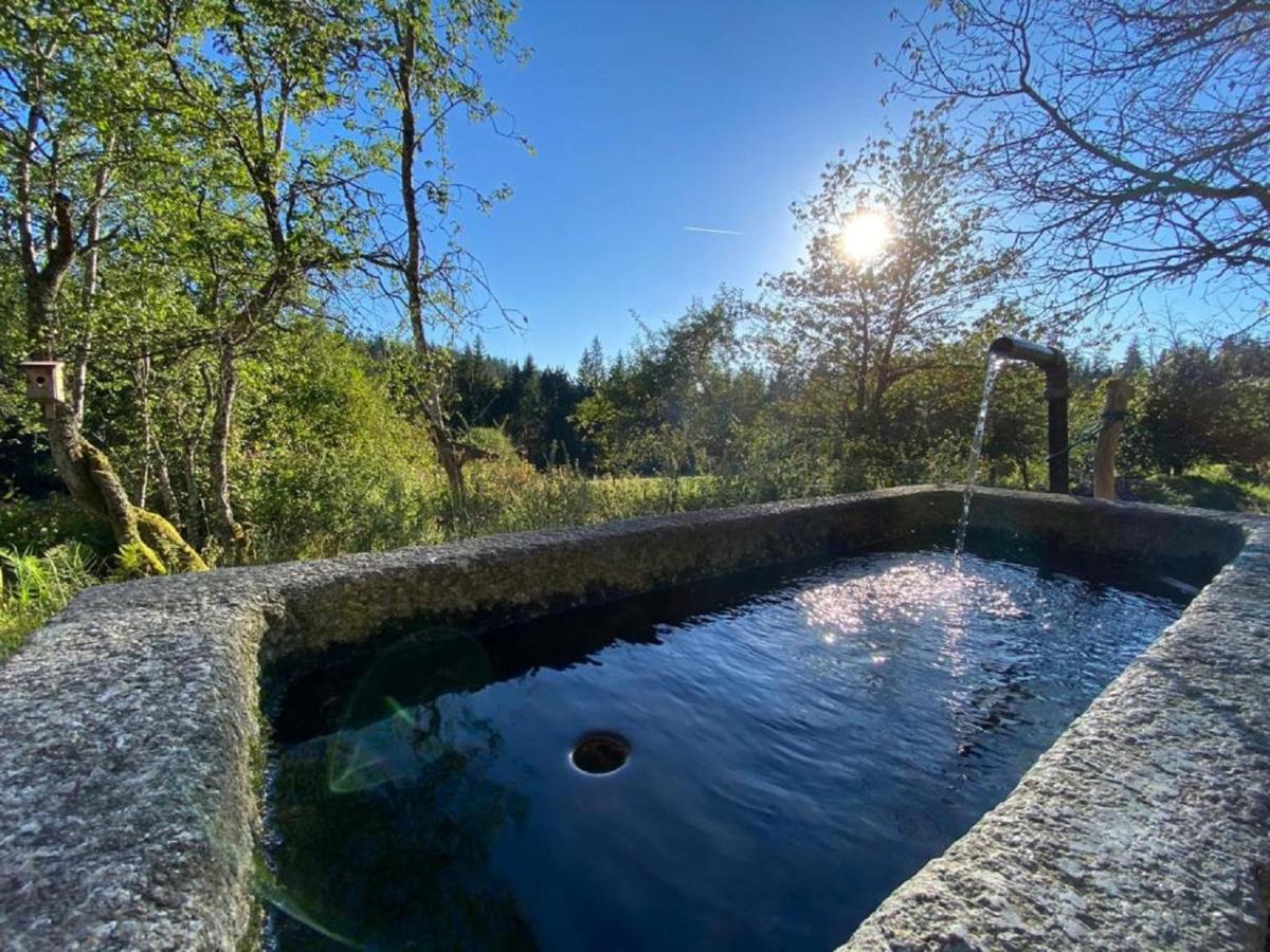 Ferienhaus Klause Neureichenau Extérieur photo