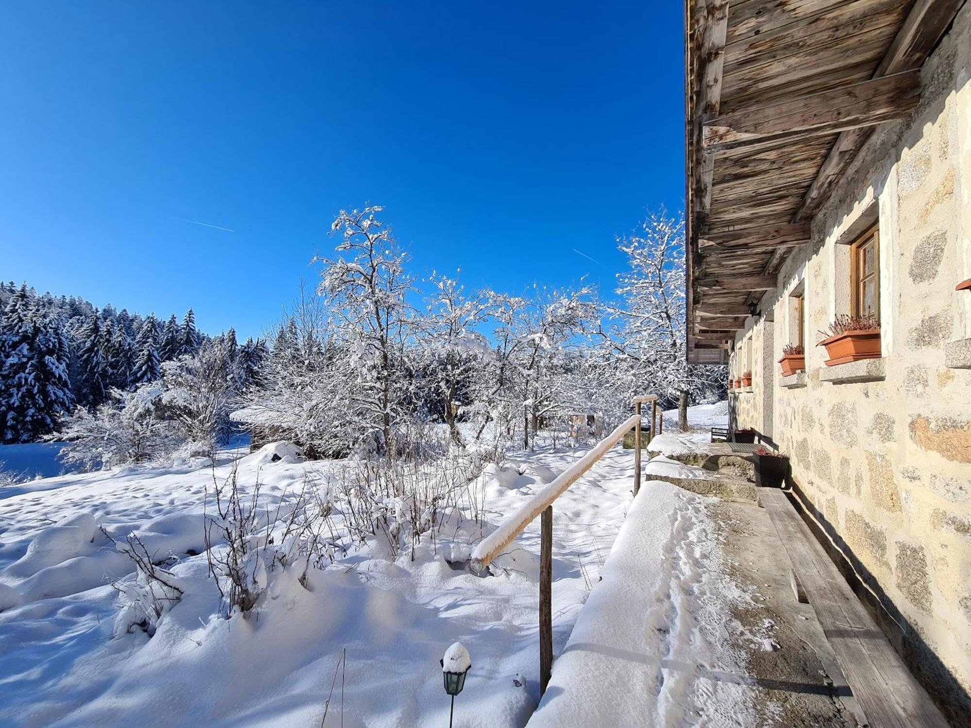 Ferienhaus Klause Neureichenau Extérieur photo